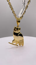 Load image into Gallery viewer, OVO Owl Pendent &amp; Rope Chain Combo In 10 KT Yellow Gold