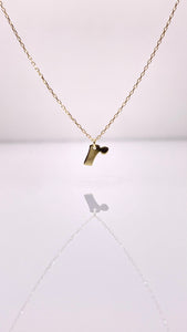 Dainty Initial Pendent & Chain Combo In 10 KT Yellow Gold