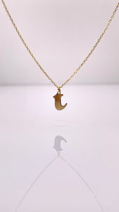 Dainty Initial Pendent & Chain Combo In 10 KT Yellow Gold