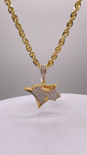 Load image into Gallery viewer, 0.44 CT. Natural Diamond Blue Jays Pendent &amp; Rope Chain Combo