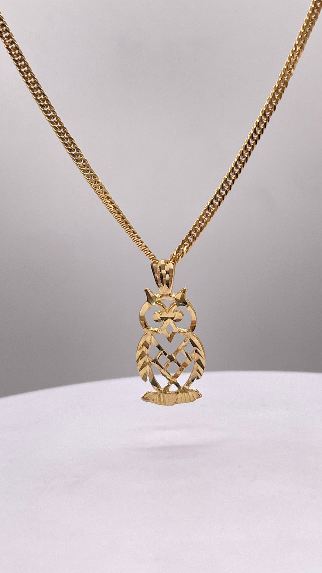 Owl Pendent & Curb Link Chain In 10 KT Yellow Gold