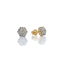 Load image into Gallery viewer, 0.41 CT. Natural Diamond Stud Earrings In 10 KT Yellow Gold